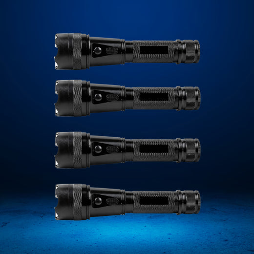 Guardvolt™