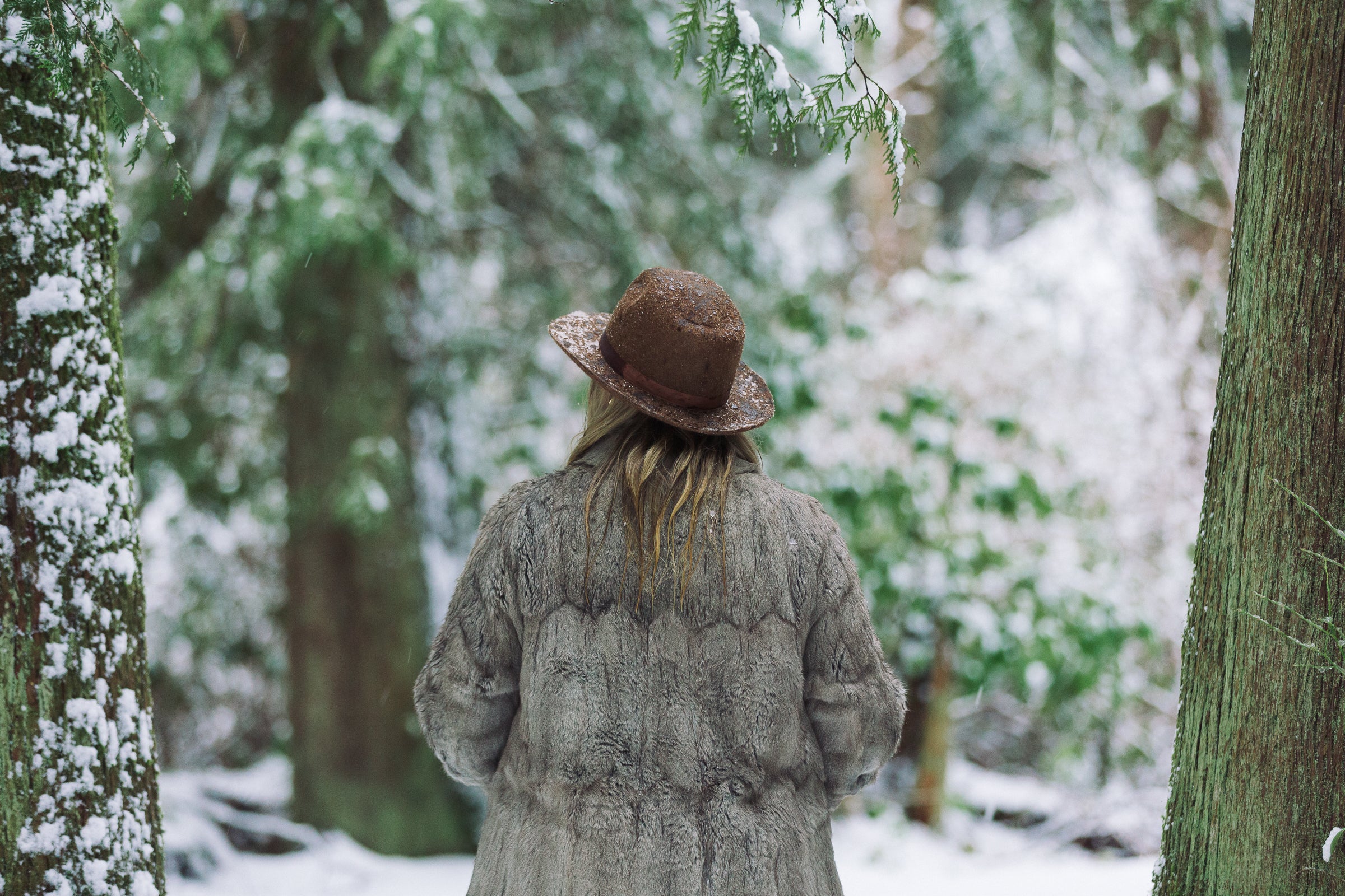 winter-walk-in-the-woods.jpg